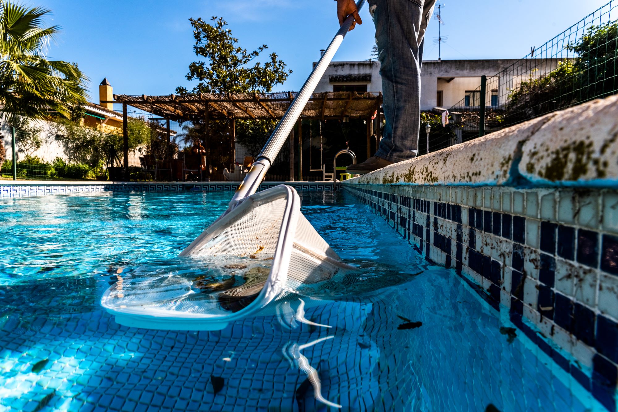 Deep Pool Cleaning | 