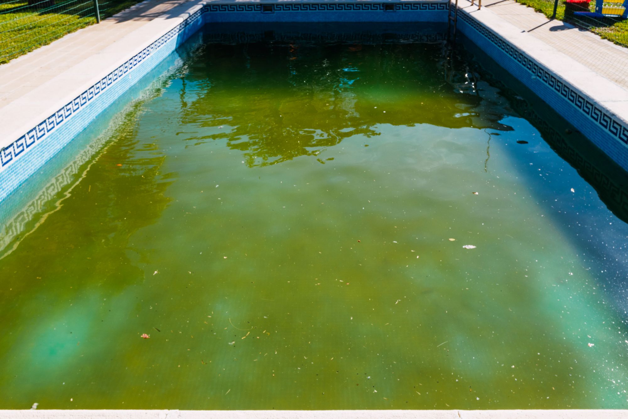 Green Pool Recovery | 